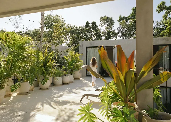Jashita Luxury Villa Tulum