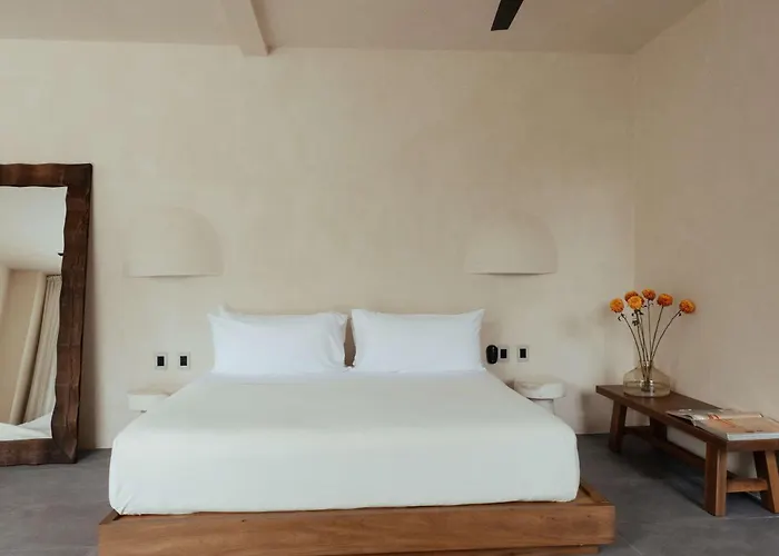 Jashita Luxury Villa *